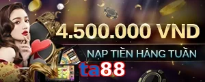 ta88